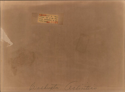 Washington DC Demonstrations Collection (60 vintage prints)