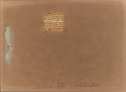 Washington DC Demonstrations Collection (60 vintage prints)