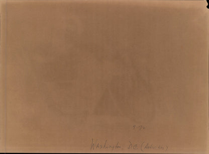 Washington DC Demonstrations Collection (60 vintage prints)
