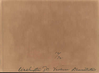 Washington DC Demonstrations Collection (60 vintage prints)