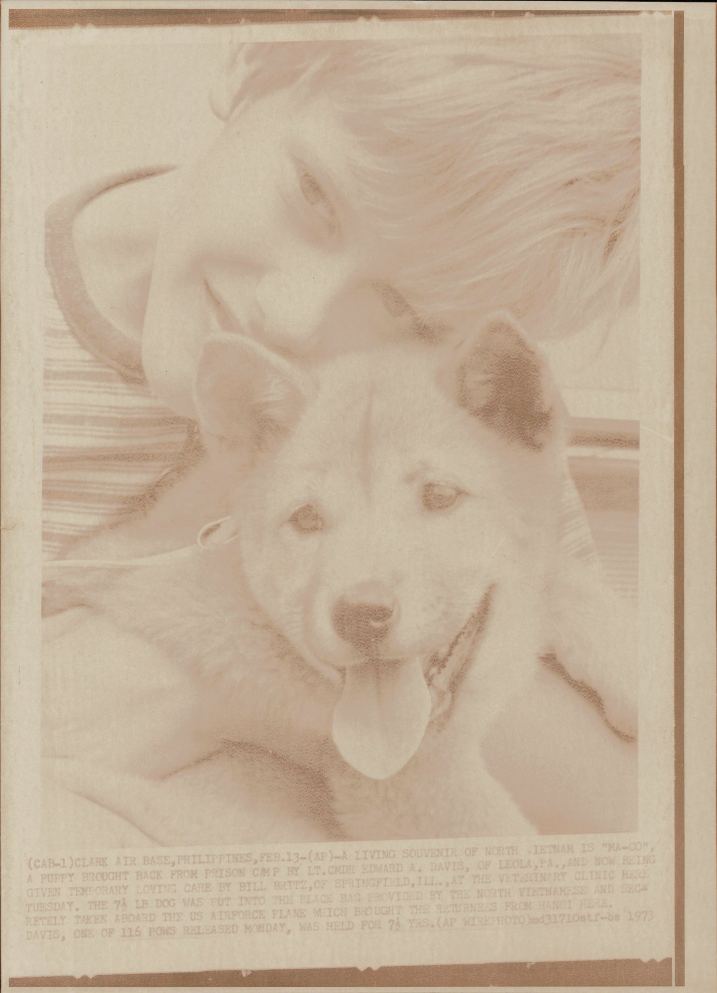 Vietnam Prisoner of War Family Collection (42 vintage prints)