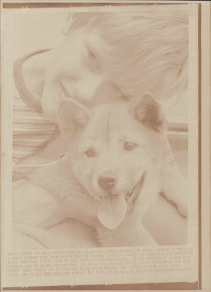 Vietnam Prisoner of War Family Collection (42 vintage prints)