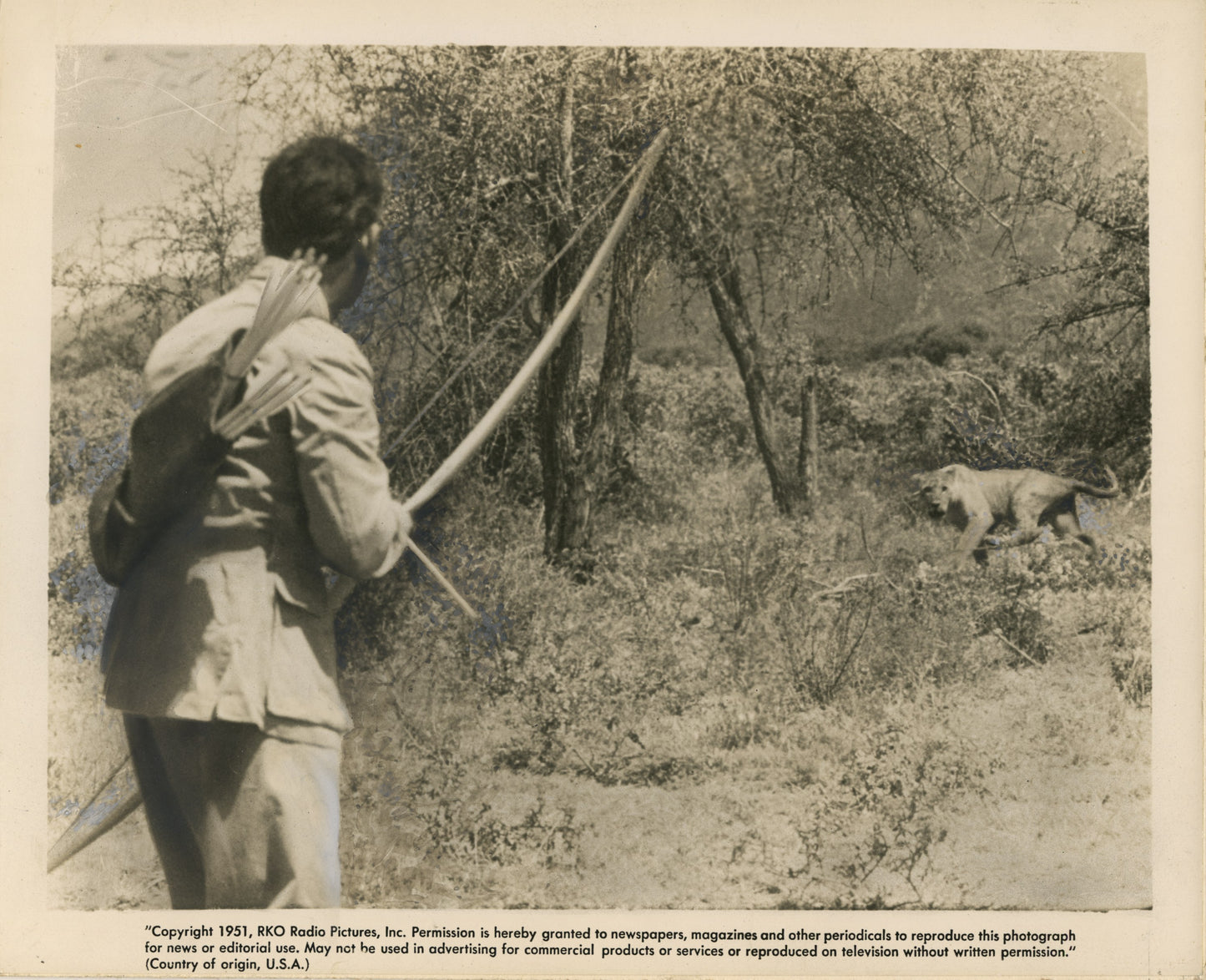 Tembo Collection (1952) (4 vintage prints)