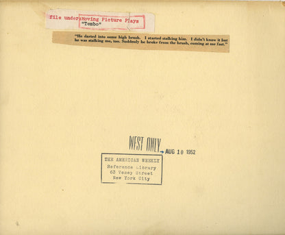 Tembo Collection (1952) (4 vintage prints)